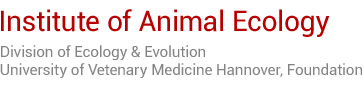 ITZ - Institute for Animal Ecology - University of Vetenary Medicine Hannover, Foundation